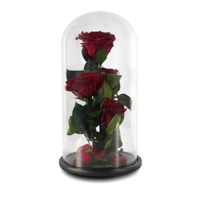 Delightful Preserved Florals with Roses